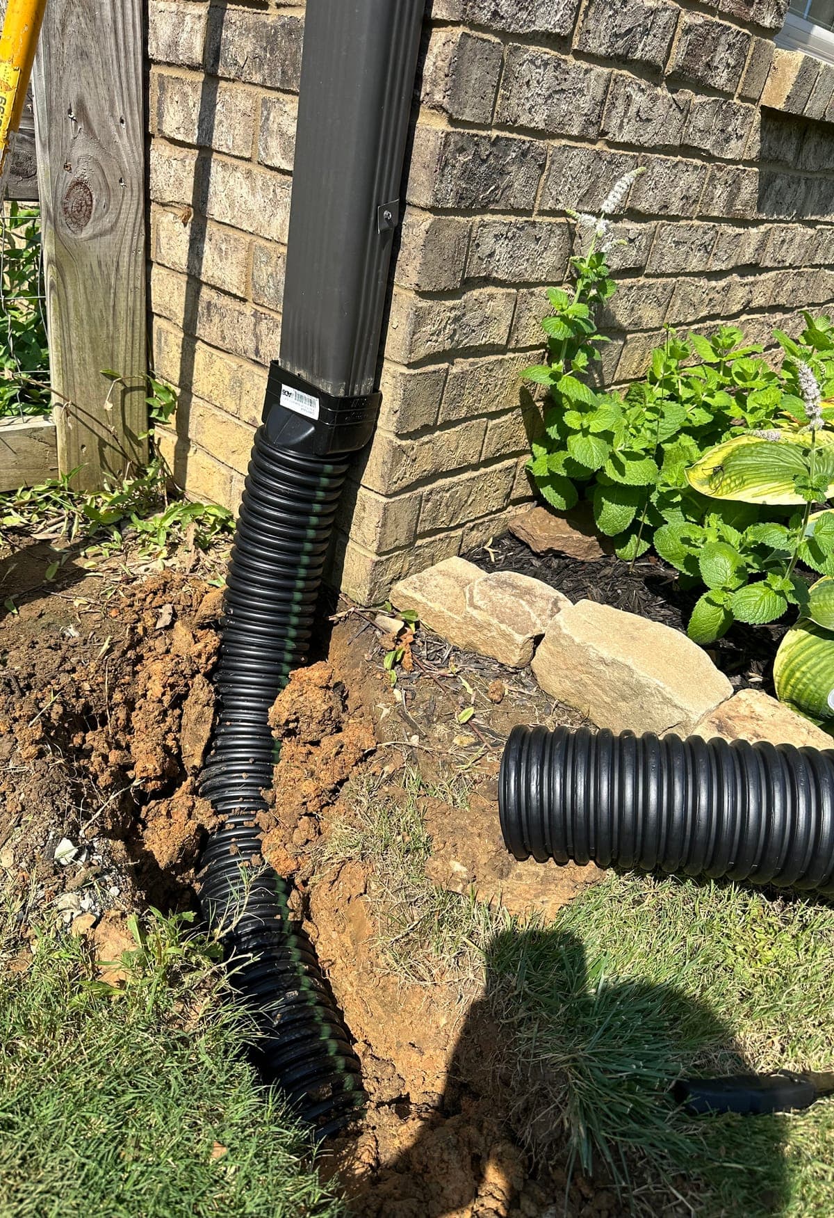 A downspout tied into black corrugated drain pipe running down into an open trench beside a brick foundation.