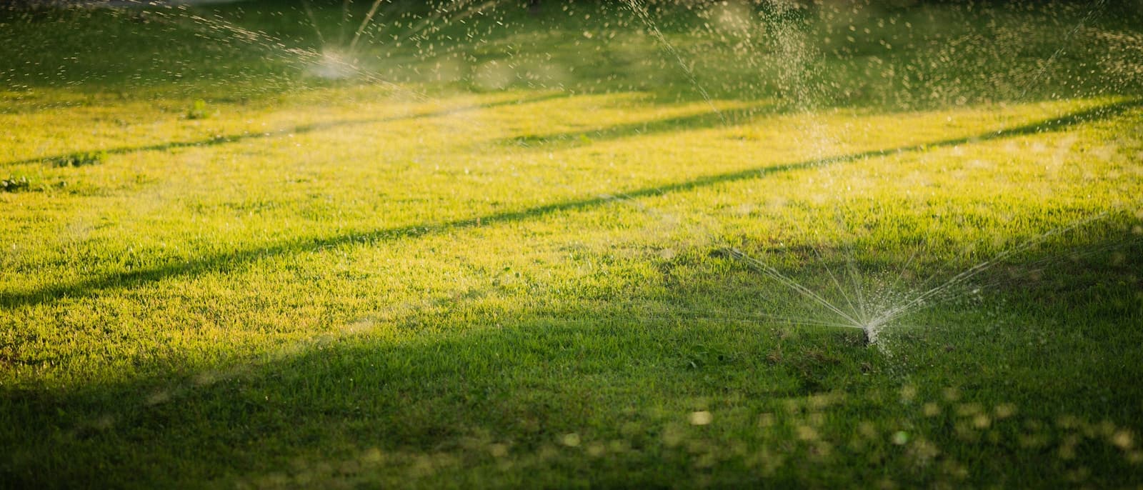 Sprinklers running across a green lawn in warm evening light.